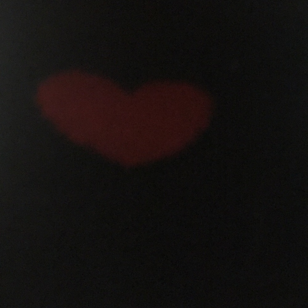 Meet your Posher, Maddie